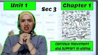الصف الثالث الثانوى - sec3 - Unit 1- Chapter 1- continue movement and support in animal