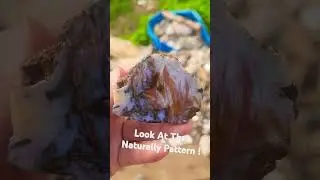 Beautiful Naturally Pattern  Bay of Fundy Agate #rockhounding #youtubeshorts #agate #bayoffundy #gem