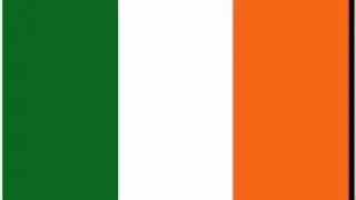 hilarious 8 year old irish girl prank call