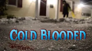 Homemade Horror Movie: Cold Blooded