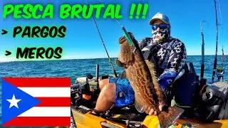 Pesca Brutal a Kayak !!! #Pargos #Meros #Puerto #Rico - Video #100 #Oficial - Pescando luego d Fiona