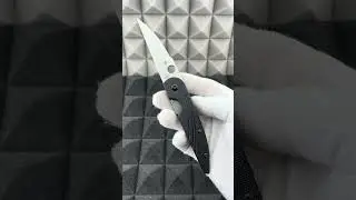 C153 Des Horn