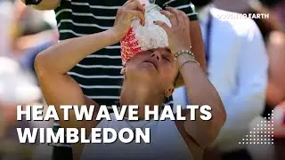 Heatwave Across Europe: Wimbledon Affected, Schools Closed and Wildfires Spread