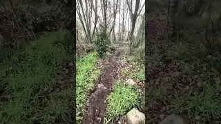 Provolt Recreation Site (Provolt, OR, Jan 2026)