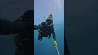 Beautiful ship wreck at the bottom of the line 🙌