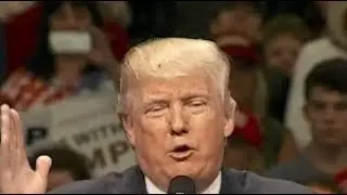 President Trump gets distracted by a fly during rally speech in New Mexico
