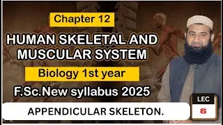 APPENDICULAR SKELETON | Human Skeletal and muscular system| Chapter 12| F.Sc. 1st Year Biology | L#6