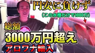 アジアアロワナ渾身の入荷！！円安の中仕入れた渾身のアロワナ達世界ブランド『紅龍ウルトラ』龍魚世界ポンティアナ