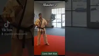 Camo Belt Kick - Reverse Side Kick - ATA Martial Arts #atamartialarts #taekwondo #karate #kicks