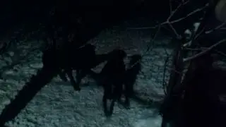 Вечерний моцион с лазерной указкой.