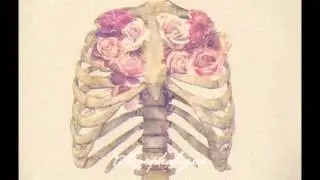 Homogeneous - Morphologue