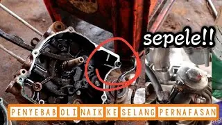 sepele sekali penyebab jupiter z keluar oli lewat selang pernafasan