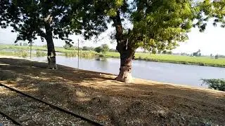 Sukkur Express 145UP Cross Gosarji Railway Station Near Sukkur