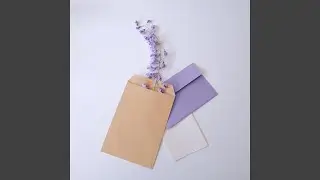 same day delivery