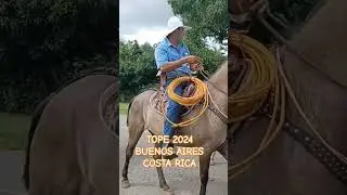 #tope #caballos #cabalgata #caballo