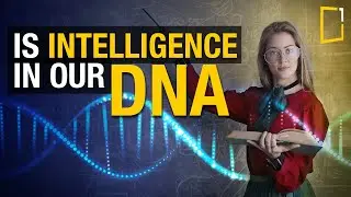 How Your Genetics Shape Creativity and Intelligence