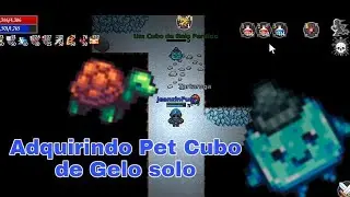Adquirindo o Pet Cubo de Gelo solo com Furioso, usando a Tartaruga - Kakele MMORPG 2D