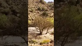 Streamside Drive: Navigating Quetta's Picturesque Waters #pakistan #shorts #nature #mountains  #view