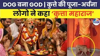 कुत्ते को भगवान बनाकर पूजने लगे लोग। Bijnor 'DOG' News | bijnor Viral dog | MNT News Network |