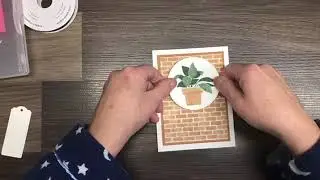 PLENTIFUL PLANTS