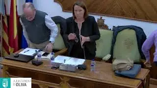 Plenari ordinari novembre 2025