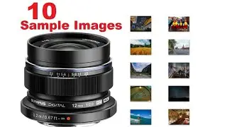 M.Zuiko 12mm F2 Sample Images [Micro Four Thirds] Premium Ultra-Wide Prime for Shooting High-Quality