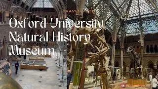 Oxford University Museum of Natural History Tour in 2025
