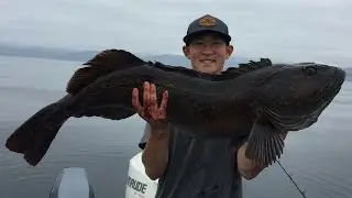 HUGE 25lb Lingcod from Big Sur!