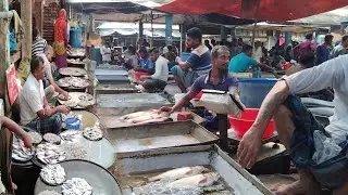 Near The River Fish Market | Sonapur Bazaar Friday Morning Big Wholesale Fish Market 2023