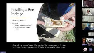 Week 3: Getting Started Beekeeping (Part 2)
