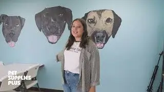 Shelter Shoutout - Chicago Canine Rescue