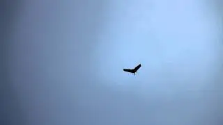 Performance testing of Trident UAV
