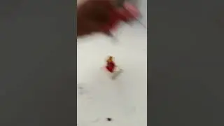 догаварился  с  фокси #countryballs #анимация #ссср #shortvideo #funny #memes #blog #blog