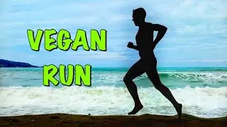 Пробежал Vegan Run. Ультрамарафонские тапки. Тренировка в гору.