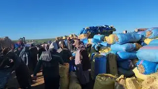 مباشرة من سوق الأسبوعي الاتنين ابن احمد مع تمن اعلاف