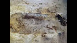 Anglo-Saxon Elite Buried with Horse in Rare 'Sand Burial' Discovery