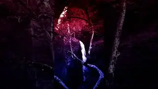 danjerr_-_Moments⚡️ [Slowed + Reverb] #lyricalgenius #musiclyrics #song #phonk #edit #music #lyrics