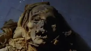 Unwrapped The Mysterious World of Mummies