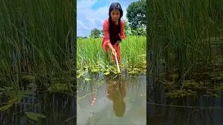 Village Girl Catching Big fish by Traditional Hook in Beel water #hookfishing #fishvideo #bigfish