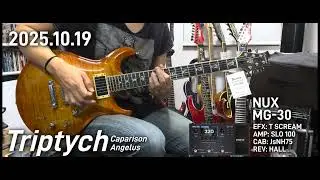 Caparison Angelus Triptych cover SIAM SHADE NUX MG-30
