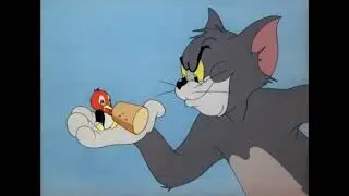 Tom and Jerry animation cartoon video baccho ki duniya hub #ytvideo #viral #tranding #cartoon 