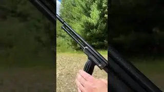 Вы бы использовали .410 для защиты дома?