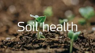 Soil health matters for our health and the health of our planet