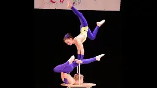 World Live Circus Show || &ldquo;Unbelievable Gymnastics Moves You Must See! 🤸&zwj;♀️🔥&rdquo;