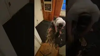 Открываем оригинальную древесину за 25 секунд! #Оклахома #сделайсам