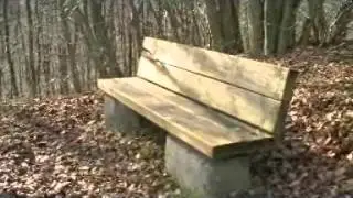 Westerwaldsteig Heiderhof-Niedersteinebach