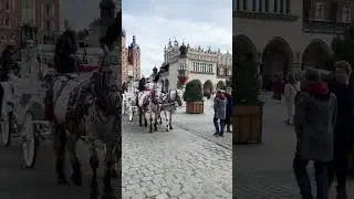 KRAK&Oacute;W OLD TOWN #krakowoldtown #travel #krakowpoland #horse #horsecarriage #krakow