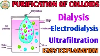 Surface chemistry class 12. Purification of colloids. Dialysis, Electrodialysis and Ultrafiltration.