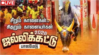 🔴LIVE: Palamedu Jallikattu | Madurai | அனல்பறக்கும் பாலமேடு ஜல்லிக்கட்டு | Madurai | IBC Tamil