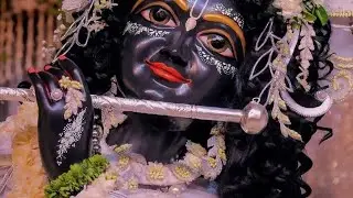 Daily vlogging live from bareilly..................